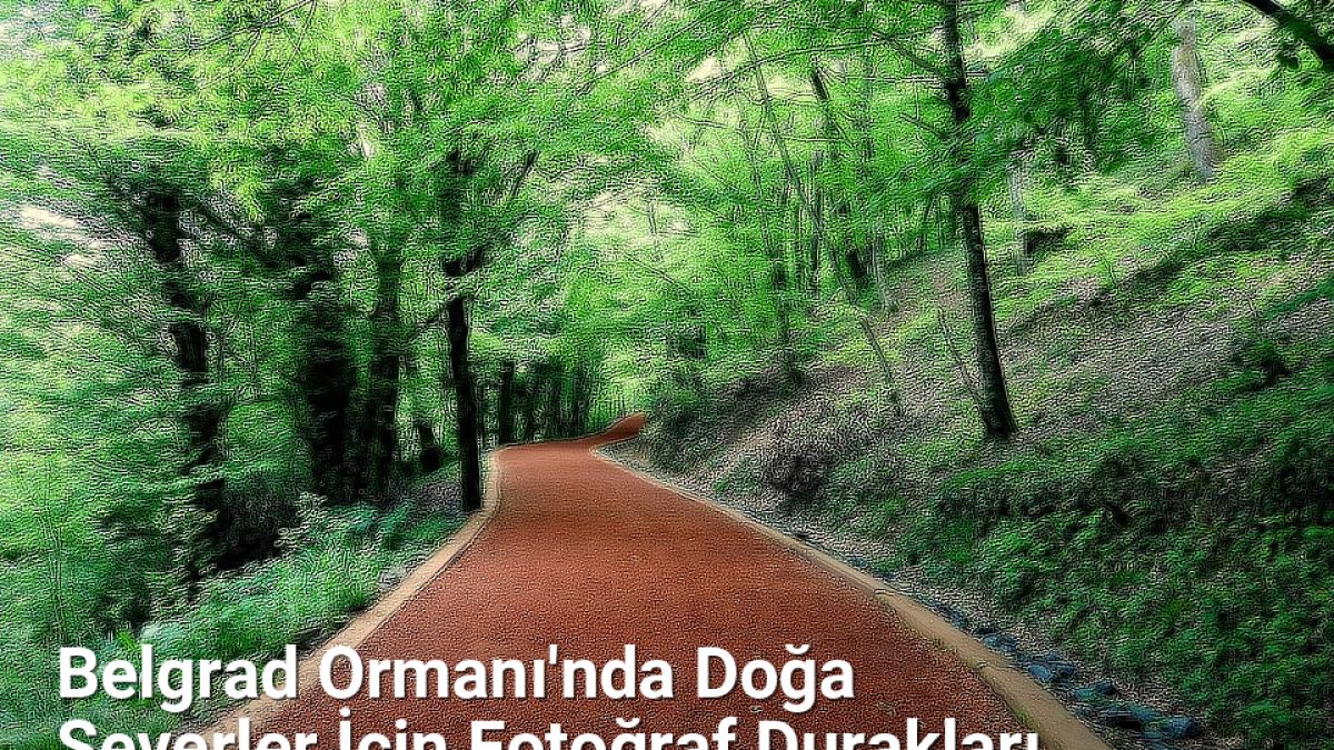 Belgrad Ormanı'nda Doğa Severler İçin Fotoğraf Durakları - istanbulfotograf.net.tc